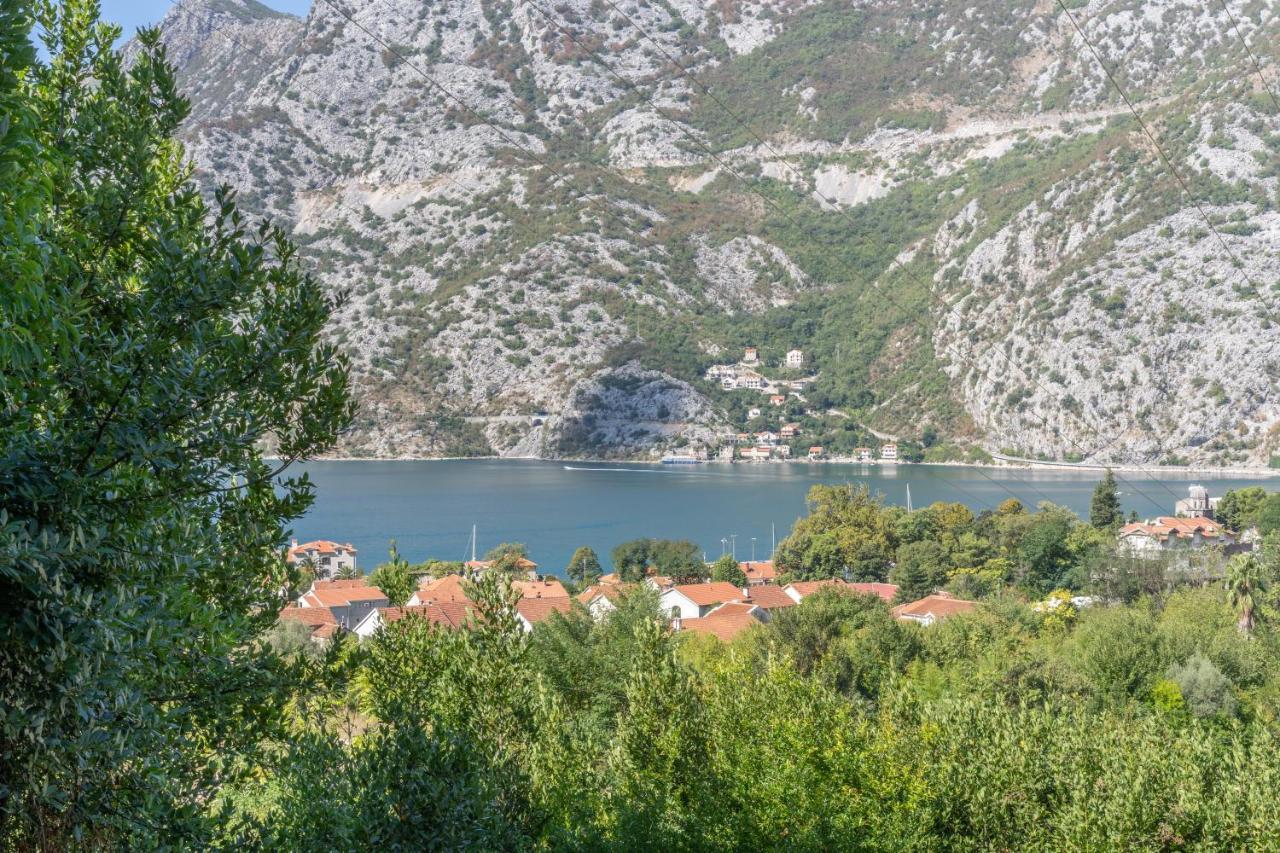 Aneta Apartments Risan Buitenkant foto